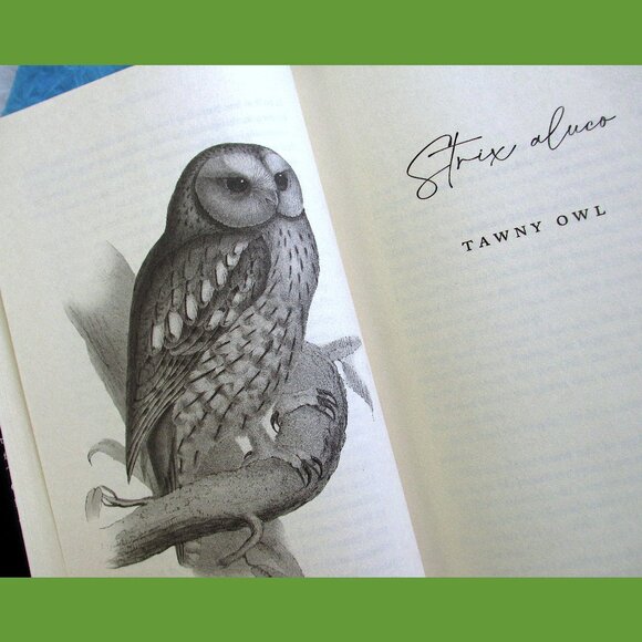 Book - The Wise Hours: A Journey into the Wild and Secret World of Owls - Picture 11 of 15